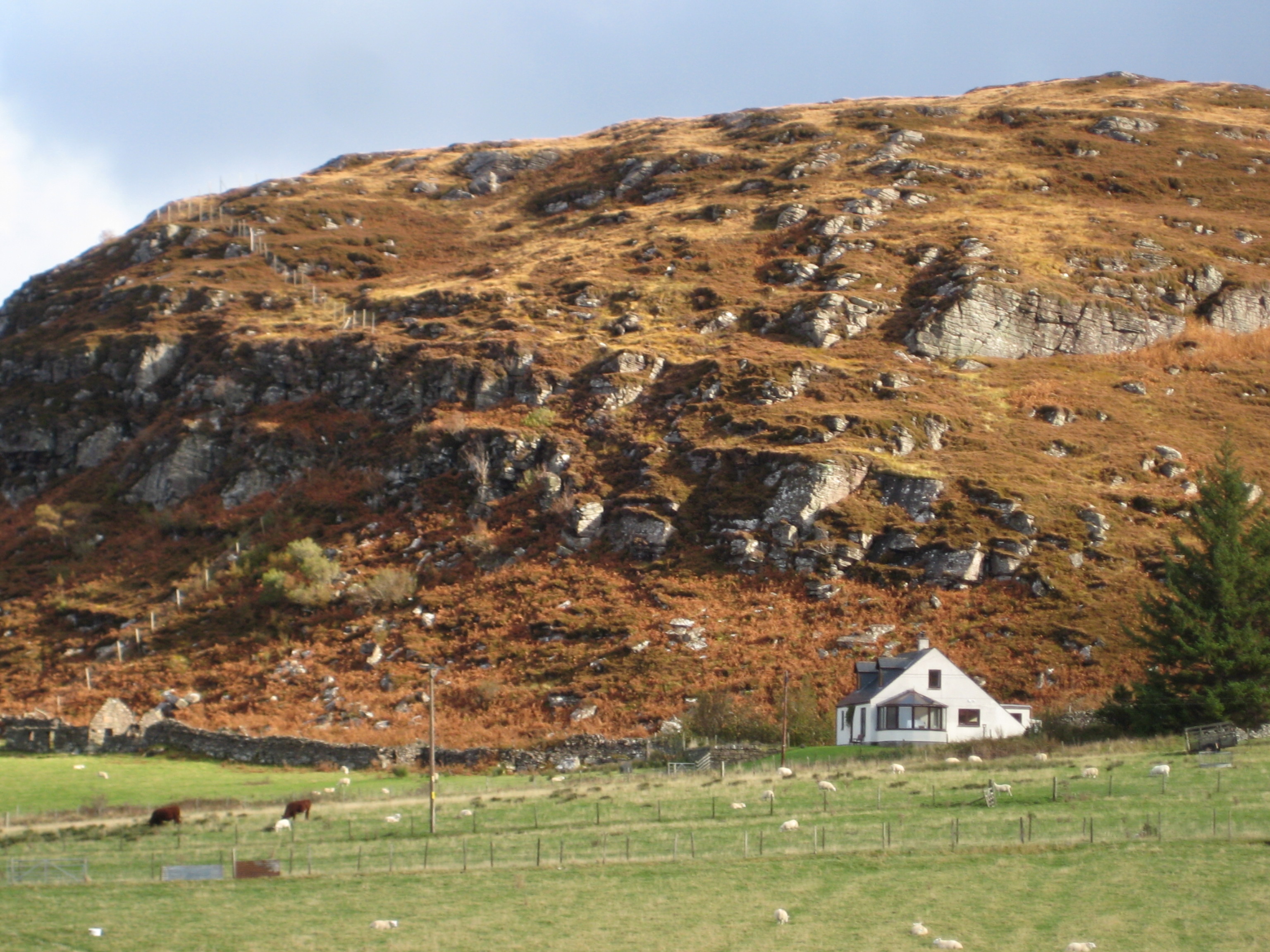 House on Craggy Hill