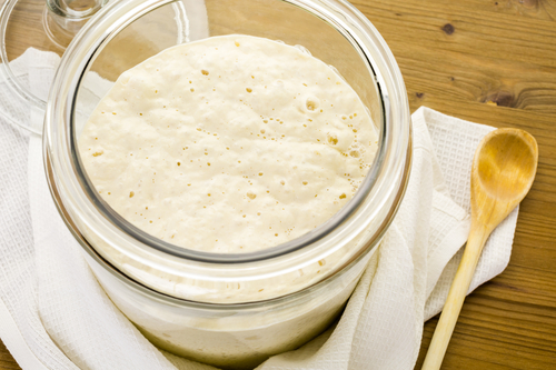 Sourdough starter