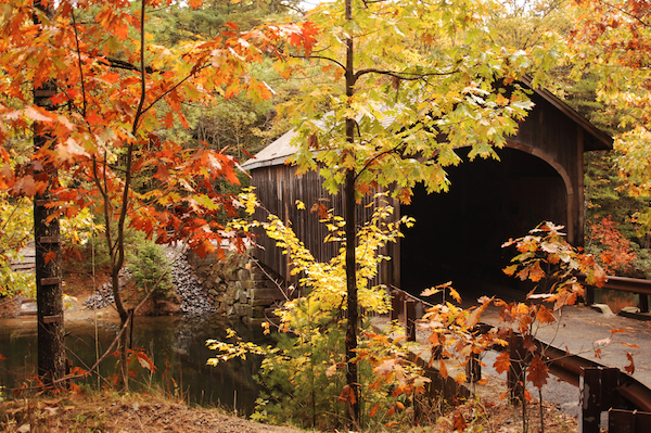 Autumn in NH