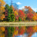 Autumn Leaves reflected