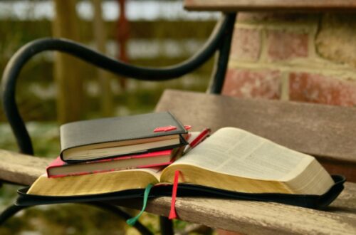 Books on a bench