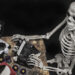 Skeleton at a typewriter