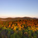 Vermont landscape in autumn, as seen from a hot air balloon.