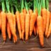 Bunch of carrots with wood background